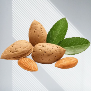 amande qandahar 11kg