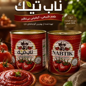 pâte de tomate 800g